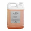 Aqua Viva Range Hotel Toiletries - 5 Litre Refill Hand Wash - Case Of 2